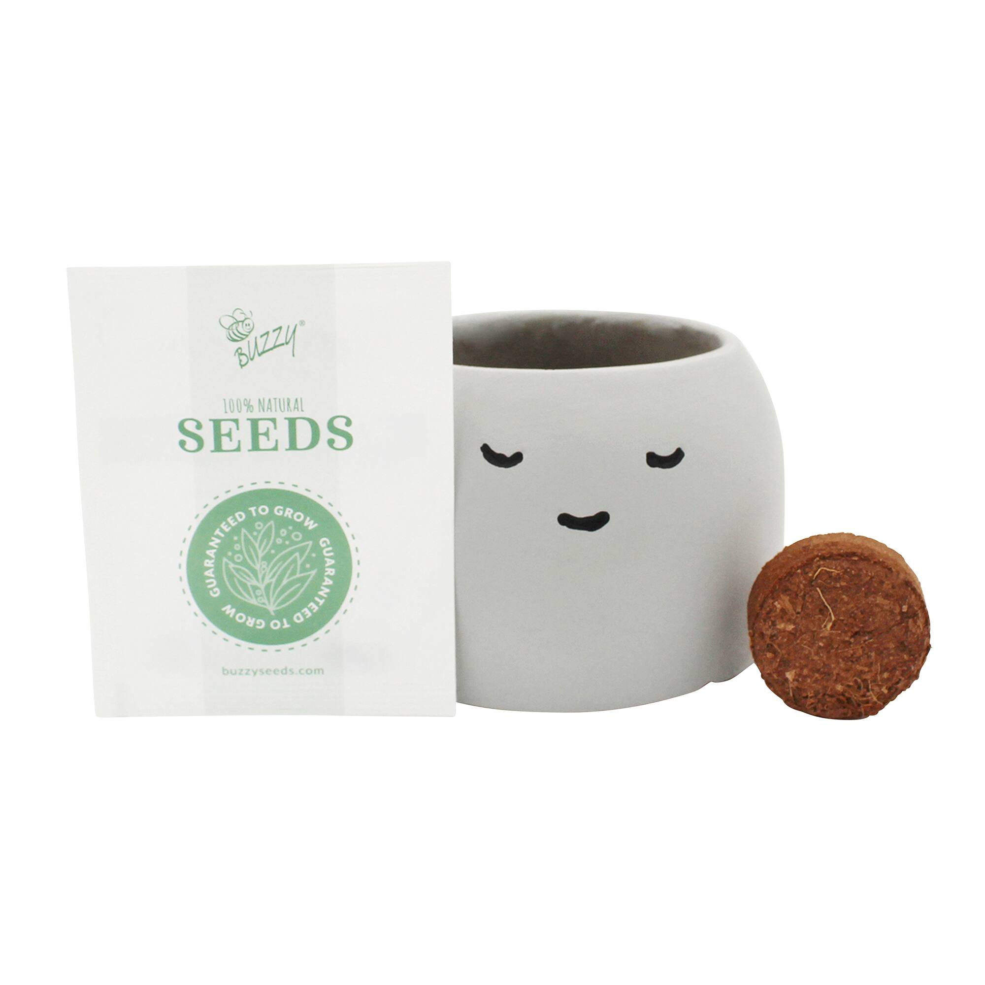 Buzzy® Peaceful Aloe Complete Grow Kit